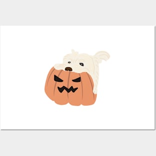 October puppy Posters and Art